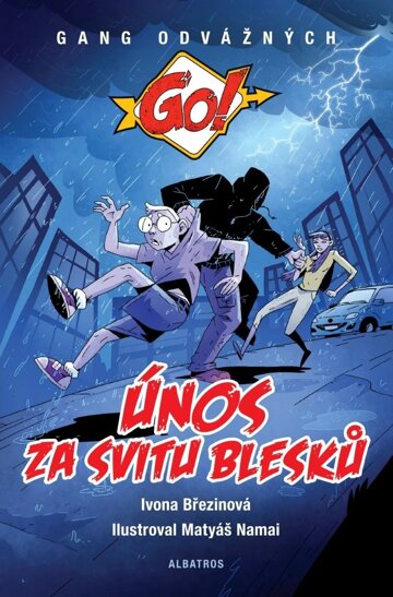 Obálka knihy Únos za svitu blesků