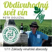 Základy vinařské abecedy 1
