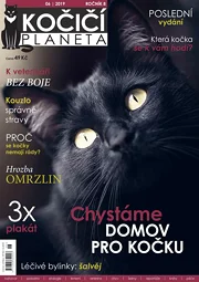 Kočičí planeta 6/2019