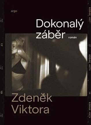 Obálka knihy Dokonalý záběr