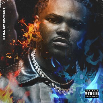 Obálka uvítací melodie Mr. Grizzley
