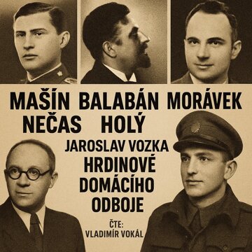 Obálka audioknihy Hrdinové domácího odboje