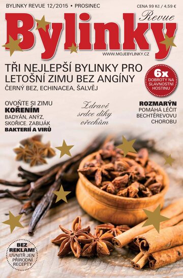 Obálka e-magazínu Bylinky 12/15 prosinec