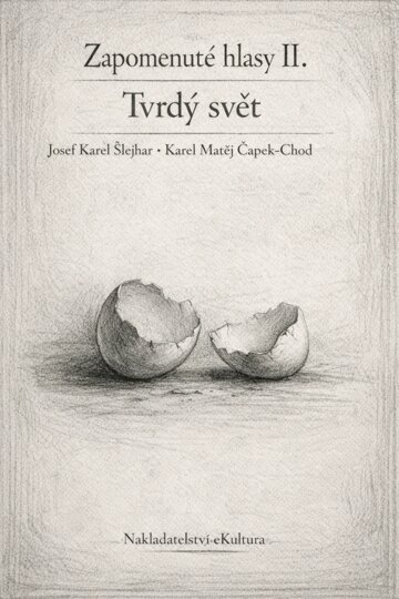 Obálka knihy Zapomenuté hlasy II.: Tvrdý svět