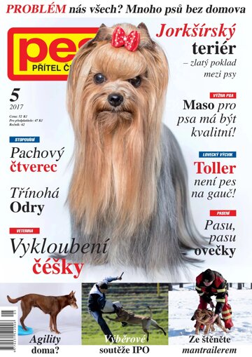 Obálka e-magazínu Pes přítel člověka 5/2017