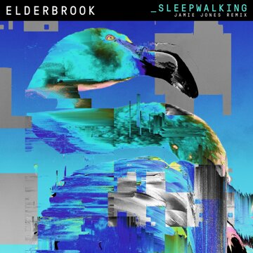Obálka uvítací melodie Sleepwalking (Jamie Jones Remix Edit)