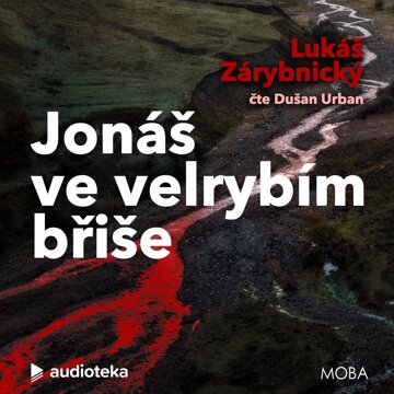 Obálka audioknihy Jonáš ve velrybím břiše