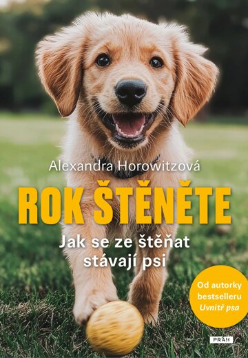 Obálka knihy Rok štěněte