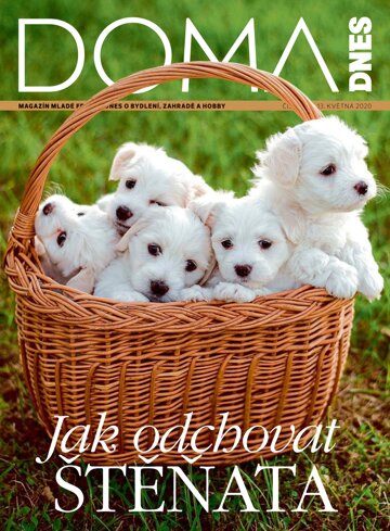 Obálka e-magazínu Doma DNES 13.5.2020