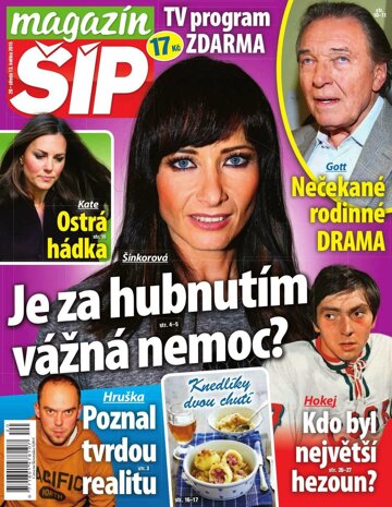 Obálka e-magazínu Magazín Šíp 20/2015