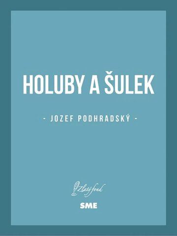 Obálka knihy Holuby a Šulek