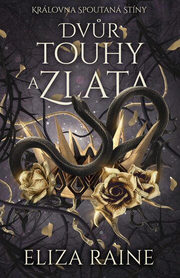 Obálka knihy Dvůr touhy a zlata