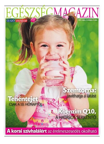 Obálka e-magazínu Új Szó príloha 5/5/2015