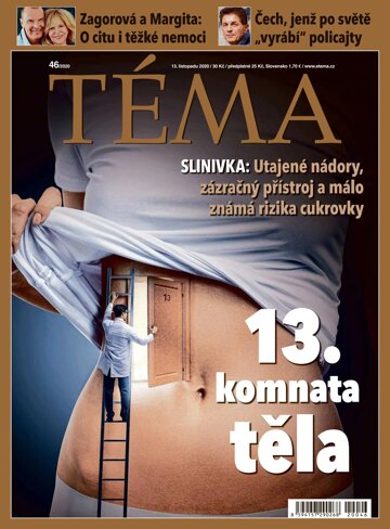 Obálka e-magazínu TÉMA 13.11.2020