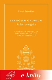 Evangelii gaudium (Radost evangelia)
