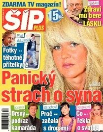 Obálka e-magazínu Magazín Šíp 12/2013