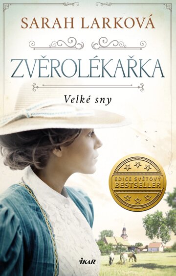 Obálka knihy Velké sny