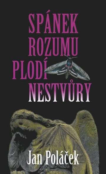 Obálka knihy Spánek rozumu plodí nestvůry