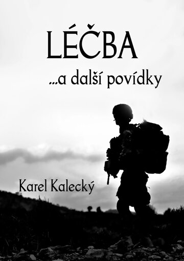 Obálka knihy Léčba