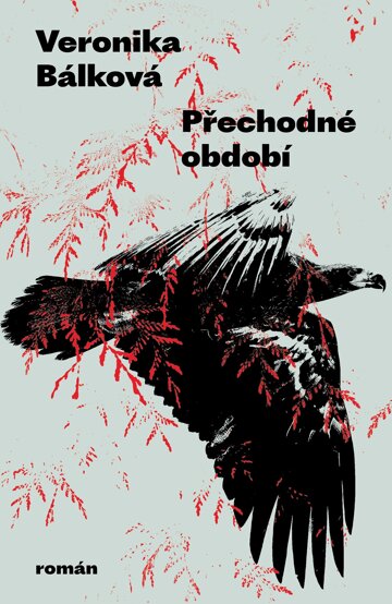 Obálka knihy Přechodné období