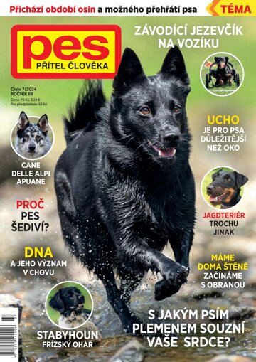 Obálka e-magazínu Pes přítel člověka 7/2024