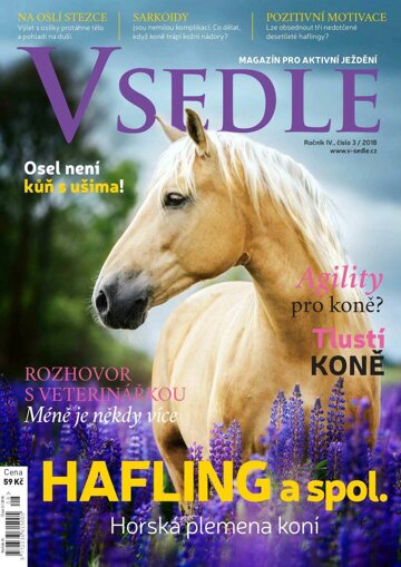 Obálka e-magazínu V sedle 3/2018