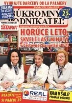 Obálka e-magazínu Súkromný podnikateľ 6/2014