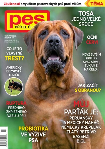 Obálka e-magazínu Pes přítel člověka 11/2023