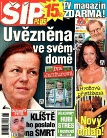 Obálka e-magazínu Magazín Šíp 21/2012