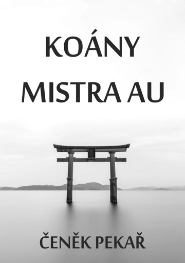 Obálka knihy Koány Mistra Au