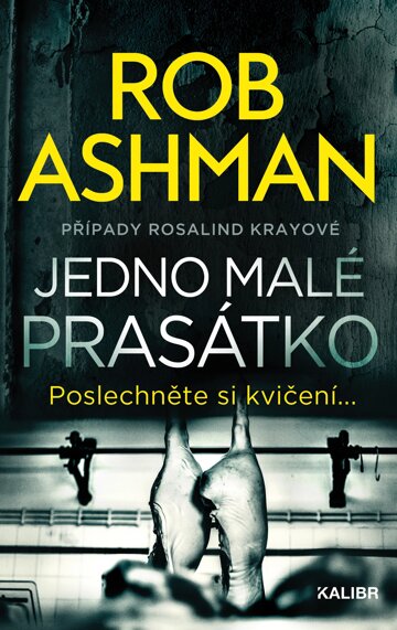 Obálka knihy Jedno malé prasátko