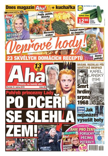 Obálka e-magazínu AHA! 31.1.2019