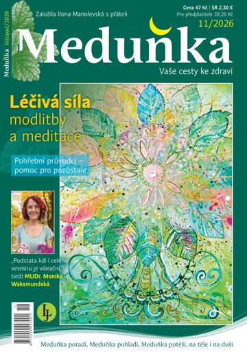 Obálka e-magazínu Meduňka 11/2026