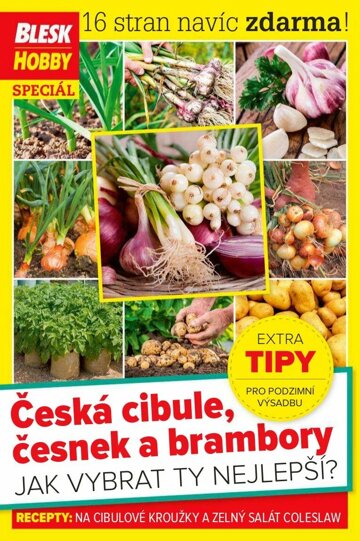 Obálka e-magazínu Příloha Blesk Hobby 9/2020