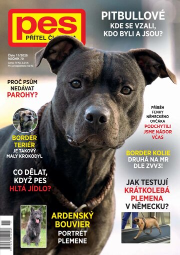 Obálka e-magazínu Pes přítel člověka