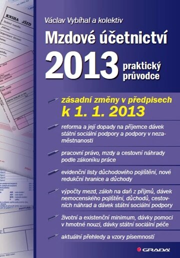 Obálka knihy Mzdové účetnictví 2013