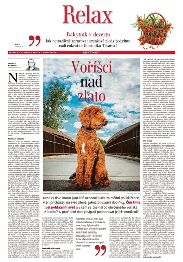 Obálka e-magazínu LN+ Čechy - 6.11.2021