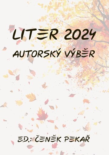 Obálka knihy Liter 2024