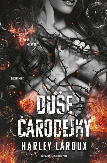 Obálka knihy Duše čarodějky