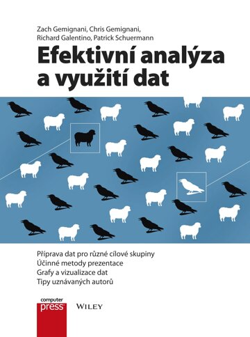 Obálka knihy Efektivní analýza a využití dat