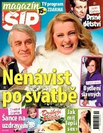 Obálka e-magazínu Magazín Šíp 40/2013