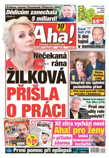 Obálka e-magazínu AHA! 11.2.2019