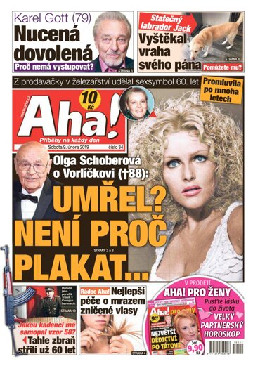 Obálka e-magazínu AHA! 9.2.2019