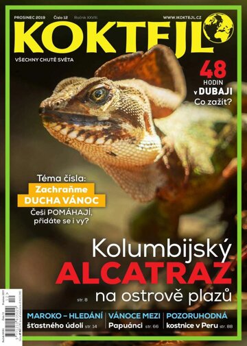 Obálka e-magazínu Koktejl 12/2019