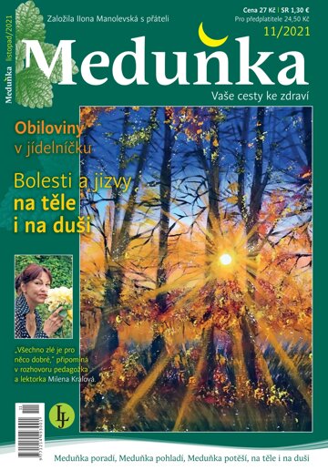 Obálka e-magazínu Meduňka 11/2021