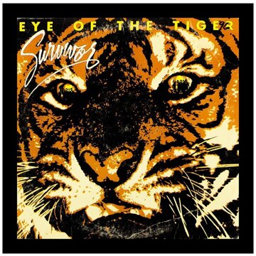 Obálka uvítací melodie Eye Of The Tiger