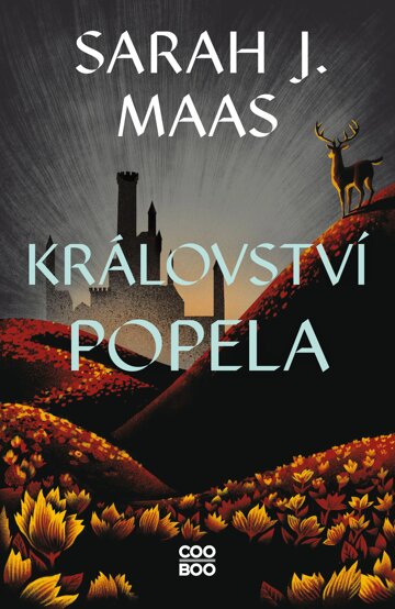 Obálka knihy Království popela
