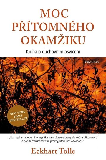 Obálka knihy Moc přítomného okamžiku