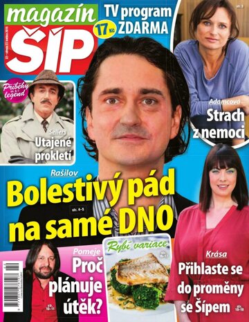 Obálka e-magazínu Magazín Šíp 22/2015