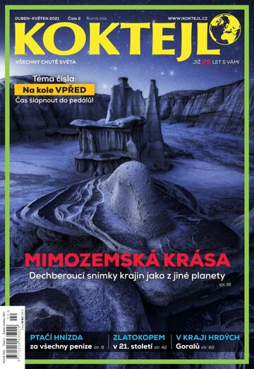 Obálka e-magazínu Koktejl 2/2021